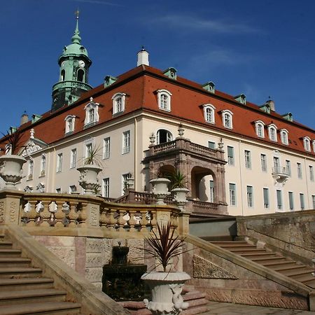 Отель Schlossgasthaus Lichtenwalde Экстерьер фото